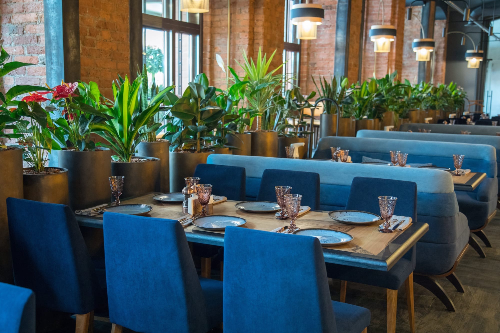 blue-chairs-wooden-tables-beautiful-hotel-restaurant-with-blue-wooden-furniture.jpg